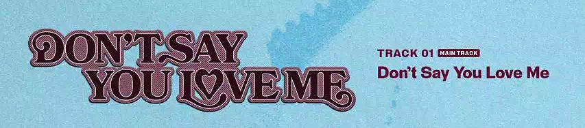 BTS Jin Echo A Look Into the Solo Album Lyrics and Stories 2 01BTS Jin Echo_he Solo Album Lyrics_Don't Say You Love Me