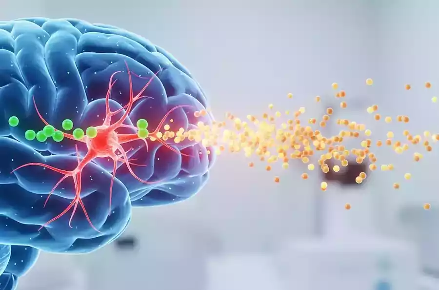 Korean Coffee Culture, Modern Routines, and the Caffeine Effects on the Brain 5 Korean coffee culture_caffeine effects on the brain2_2attention