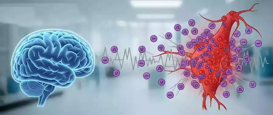 Korean Coffee Culture, Modern Routines, and the Caffeine Effects on the Brain 6 Korean coffee culture_caffeine effects on the brain2_3tolerance