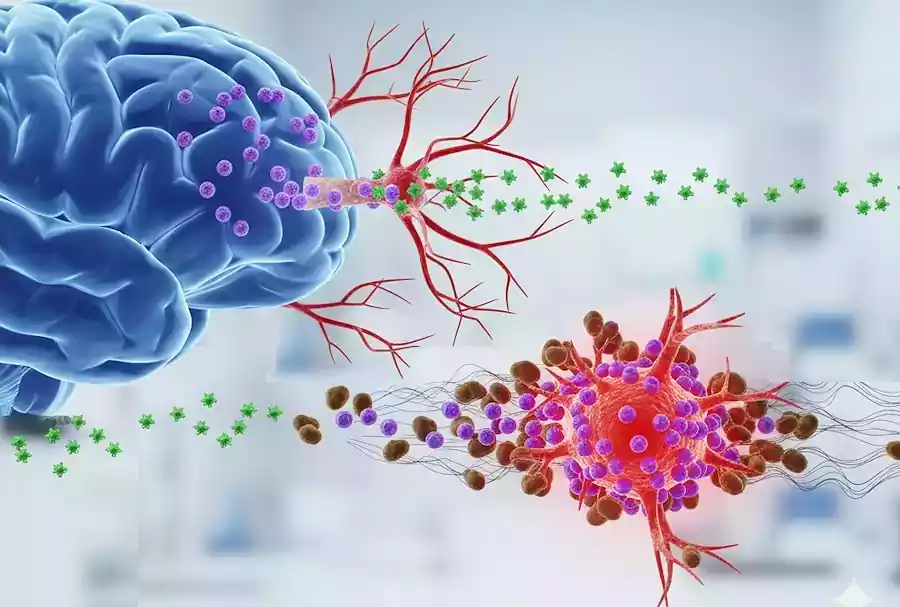 Korean Coffee Culture, Modern Routines, and the Caffeine Effects on the Brain 7 Korean coffee culture_caffeine effects on the brain3_1heart sensations