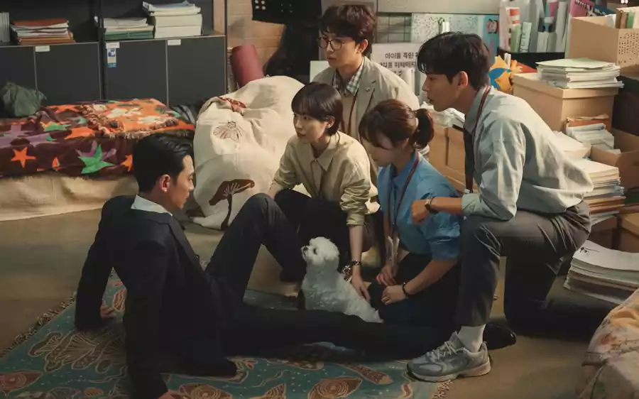 Pro Bono Kdrama Cast Revealed – A Powerful Kdrama About Lawyers Fighting for Justice 3 Pro Bono Kdrama cast_Kdrama about lawyers2_Basic Info