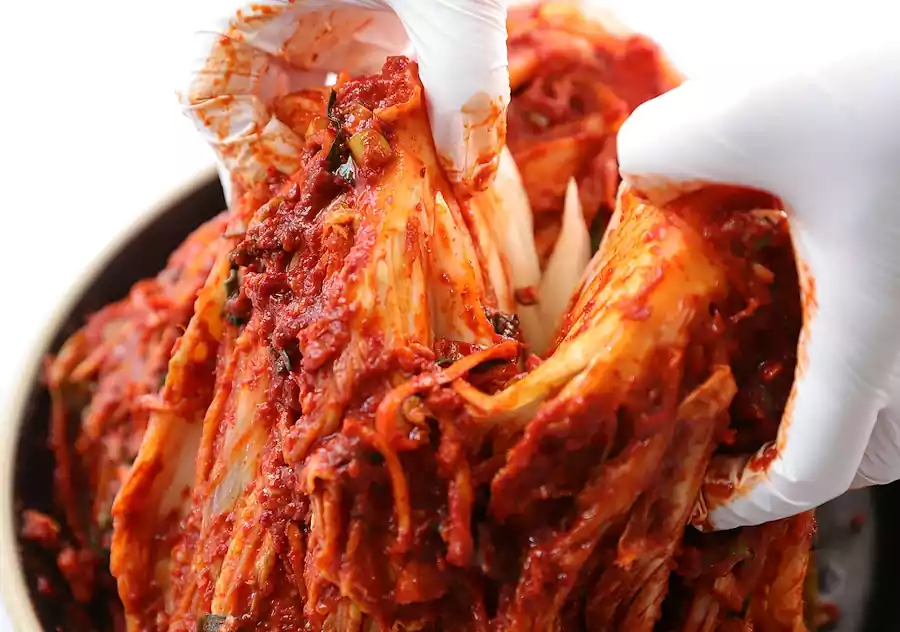 Kimchi Fermentation and Gut Health: The Science Behind Korea’s Superfood 3 kimchi fermentation_gut health_Korea’s Superfood2_Gut Health