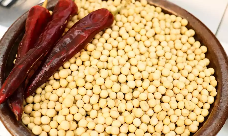 Kimchi Fermentation and Gut Health: The Science Behind Korea’s Superfood 4 kimchi fermentation_gut health_Korea’s Superfood3_Role of Temperature