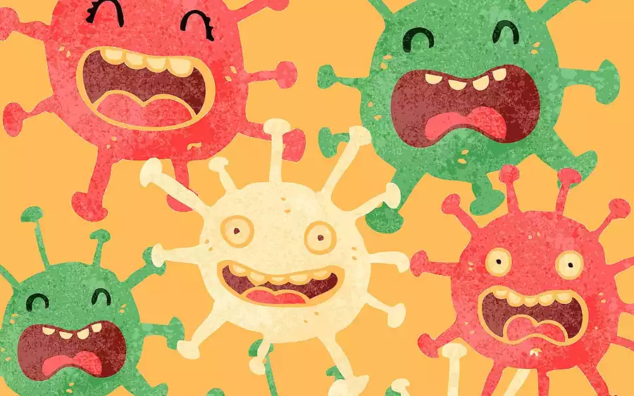 Kimchi Fermentation and Gut Health: The Science Behind Korea’s Superfood 5 kimchi fermentation_gut health_Korea’s Superfood4_Health Benefits