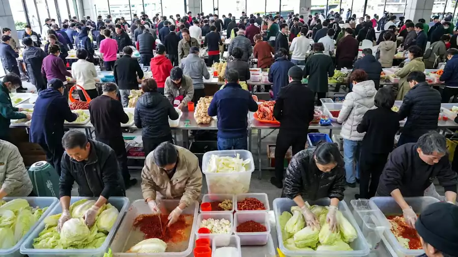 Gimjang : Why Korean Families Make Kimchi Together 4 Gimjang_Korean kimchi-making tradition6_Practical Tips