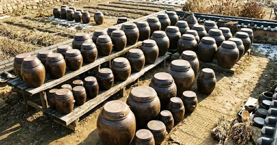 Traditional Korean Kimchi Storage: How Onggi Pots Kept Food Fresh Naturally 2 onggi pots used for traditional kimchi fermentation